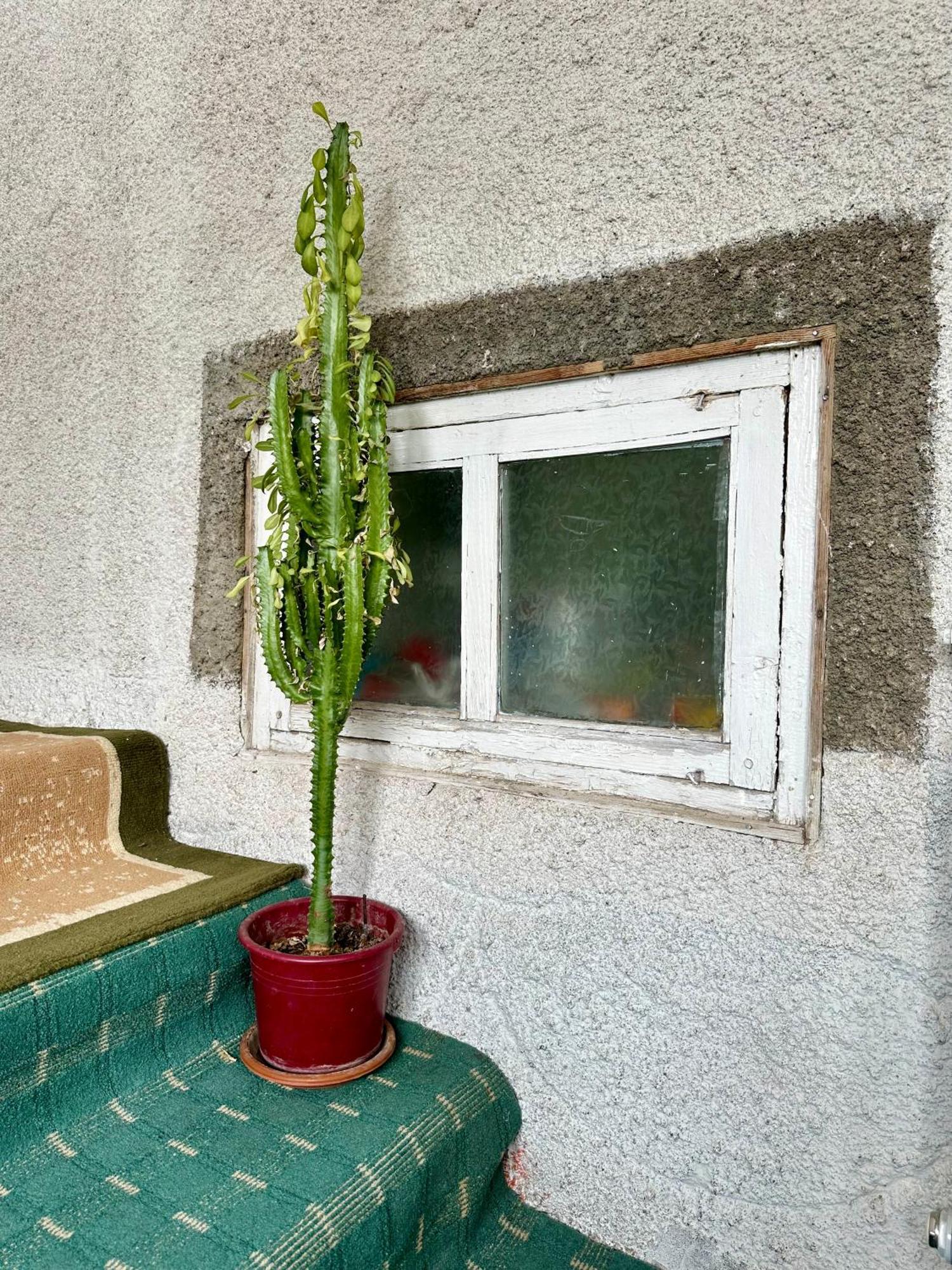 Orgochor Kayyr Guest House المظهر الخارجي الصورة